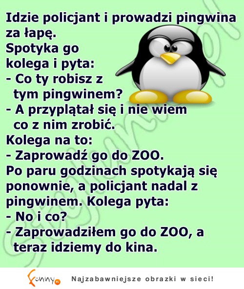 Facet nie wiedział co zrobić z pingwinem. Więc drugi doradził mu... HAHA BEKA!