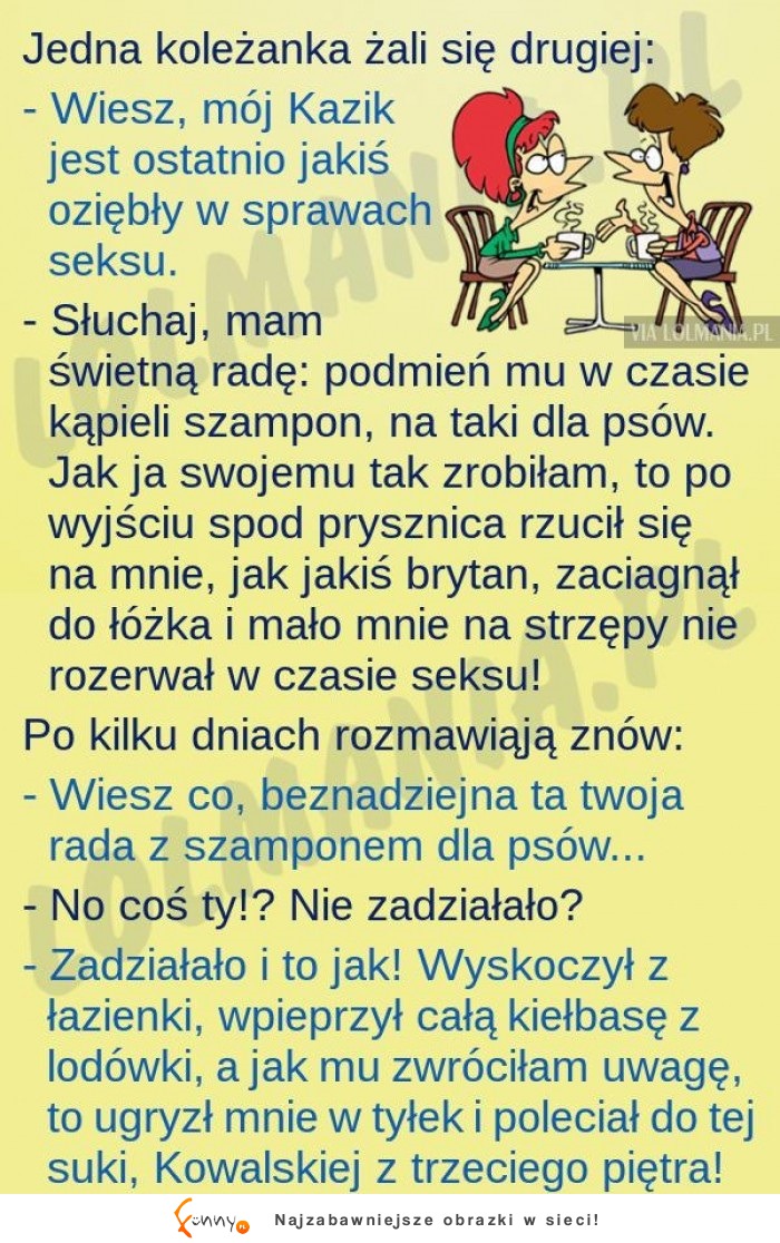 Koleżanka radzi drugiej co ma zrobic z mężem! BEKA! XD