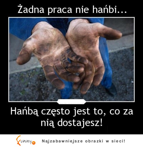 Praca nie hańbi