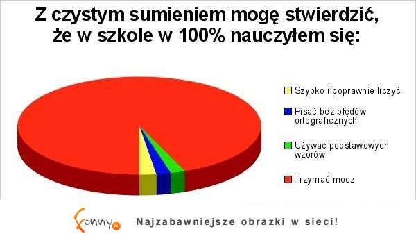 Czego tak na prawdę nauczyłeś się w szkole? Przydatna umiejętność :D