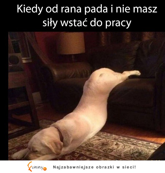 W każdy poniedziałek