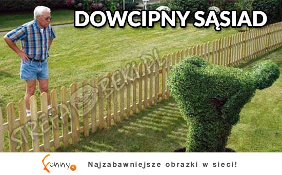 Super sąsiad