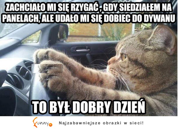 To był dobry dzień