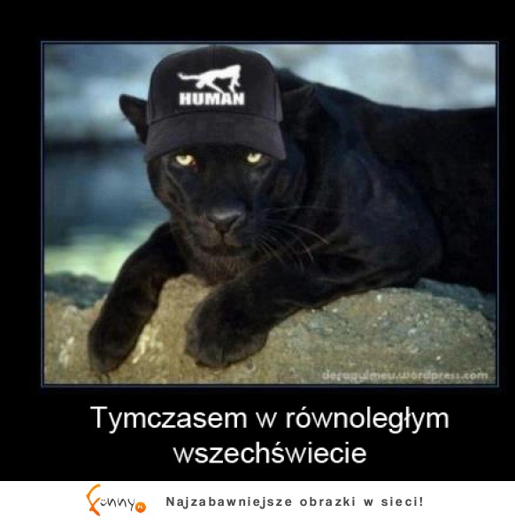 Tymczasem w alternatywnym wszechświecie