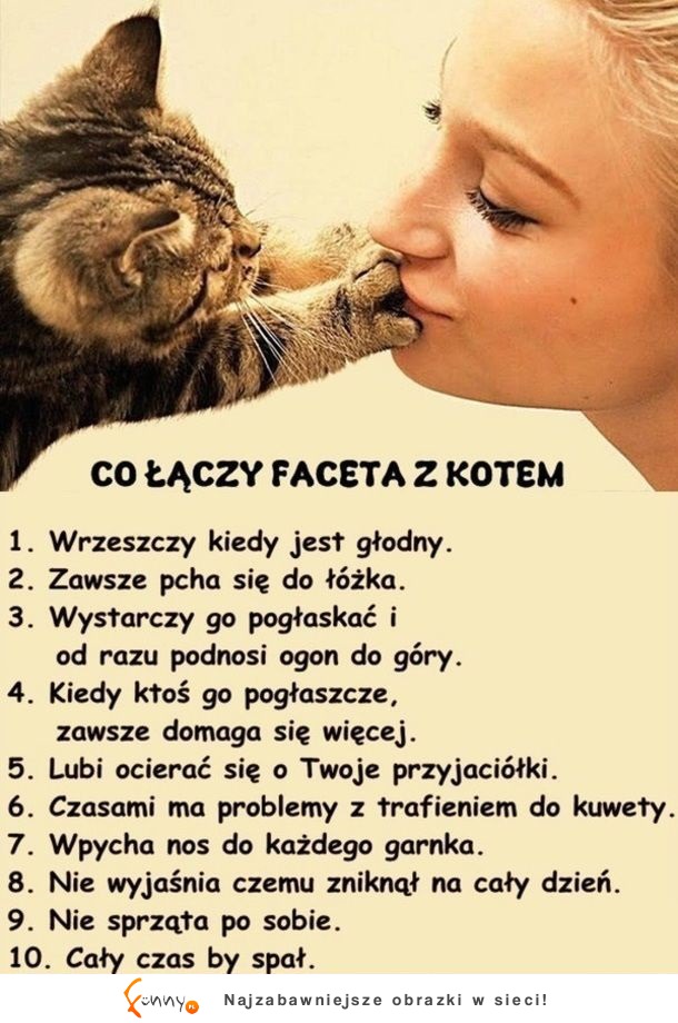 Co łączy FACETA z KOTEM! 5 najlepsze!