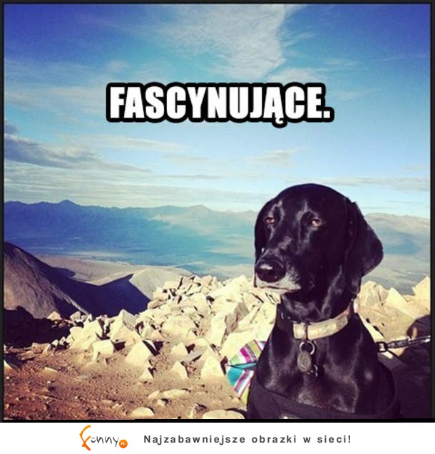 Fascynujące