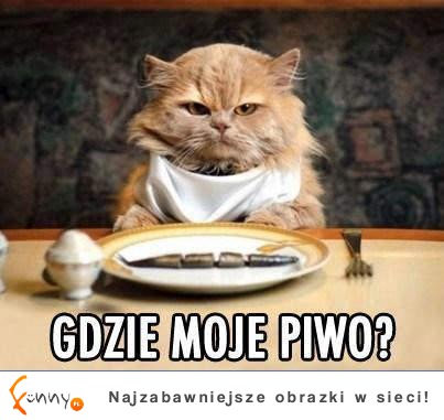 Gdzie moje piwo?