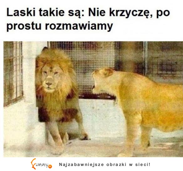 Jakbym widział wszystkie MOJE BYŁE XD