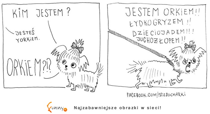 jestem orkiem!