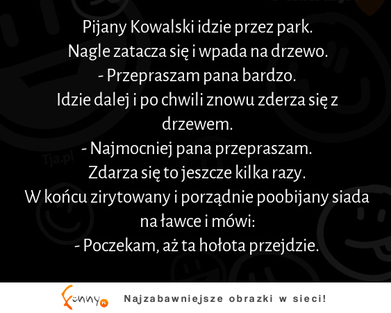 Pijany Kowalski idzie przez park :D