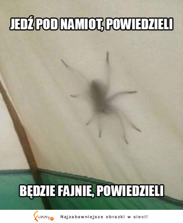 Pod namiotem