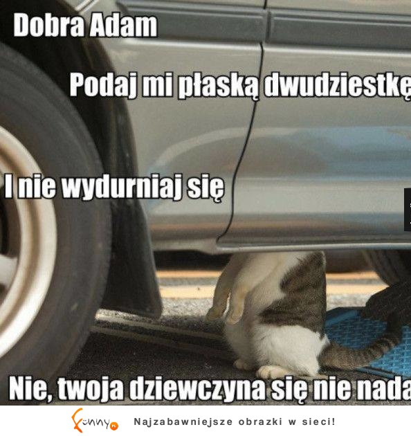 Nie wydurniaj się! TO, CO PROPONUJESZ SIĘ NIE NADA XD