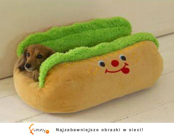 Hot-dog