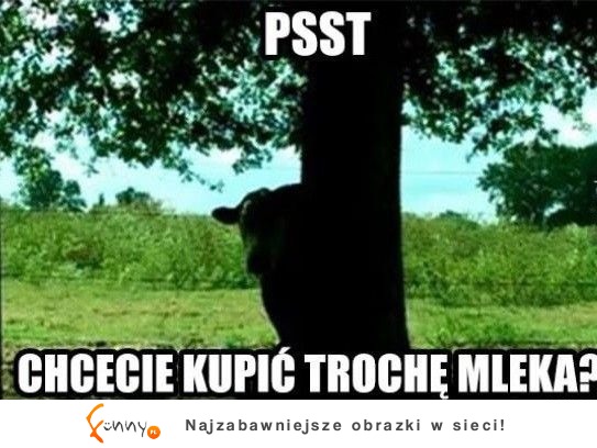 Tymczasem na wsi XD