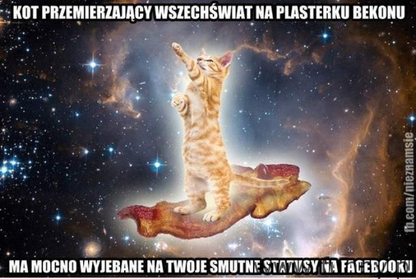 kto cię skrzywdził w gimnazjum