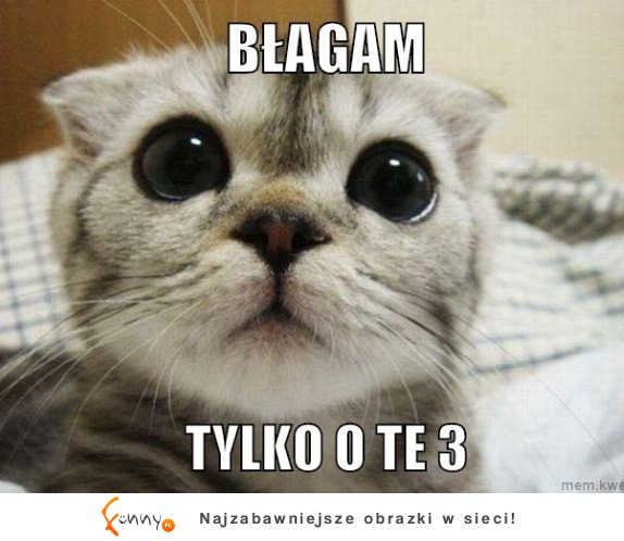 Błaga o 3