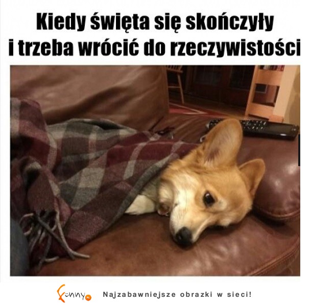 Ciężki powrót...