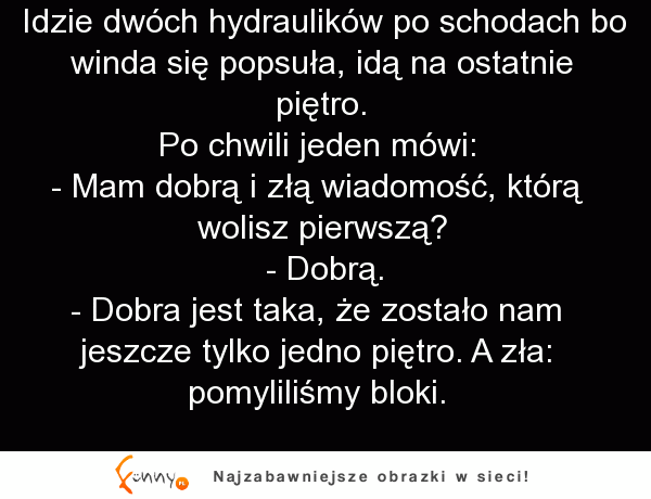 Klasyka gatunku! Kawał o hydraulikach, którzy wchodzą po schodach i następuje totalna dezorientacja