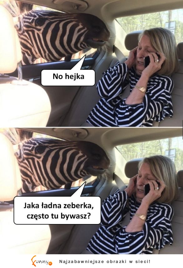 Co się stanie, jeśli ubierzesz koszulkę w paski na wycieczkę do ZOO? :D