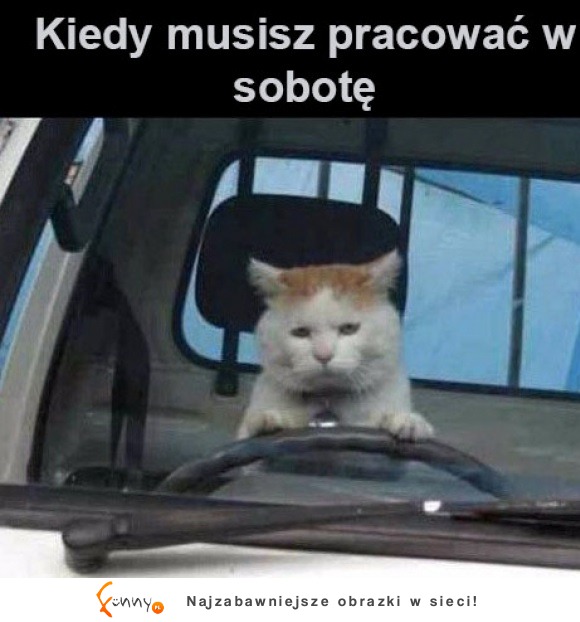 Kiedy pracujesz