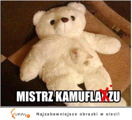 Mistrz :D