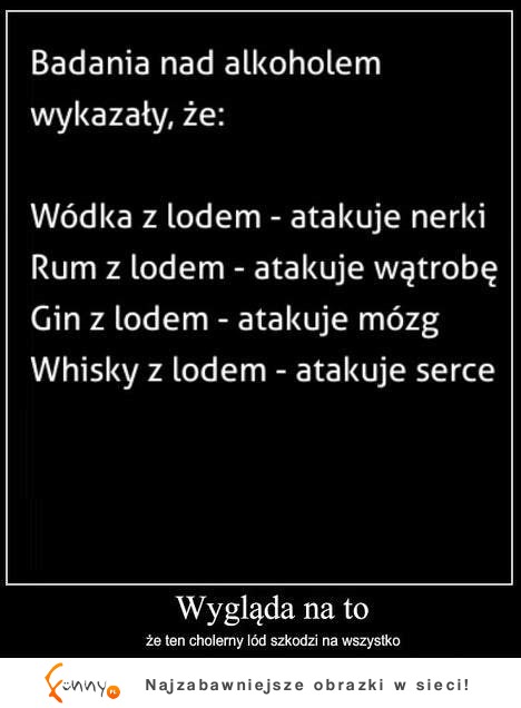 Co wykazały badania nad alkoholem? Poznaj prawdę o piciu, zobacz co Ci grozi!