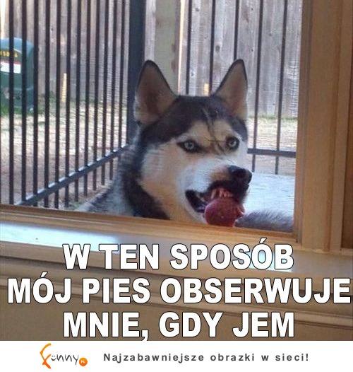 Intensywne spojrzenie