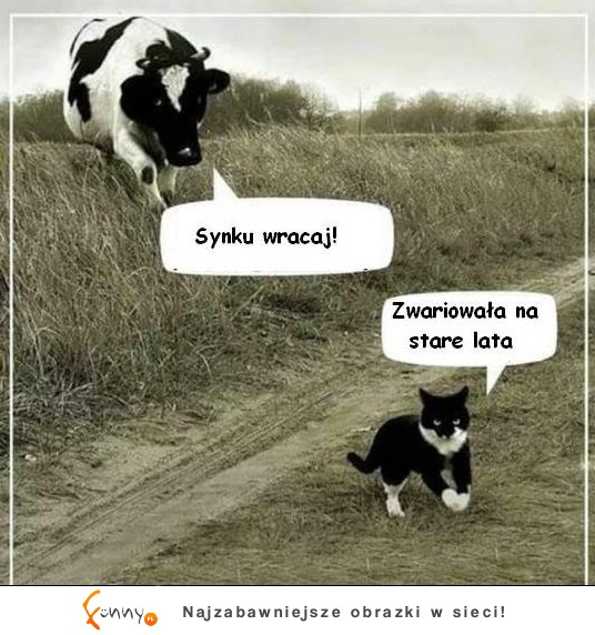 Zawriowała na stare lata