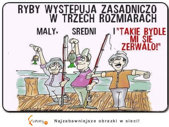 Trzy rodzaje ryb