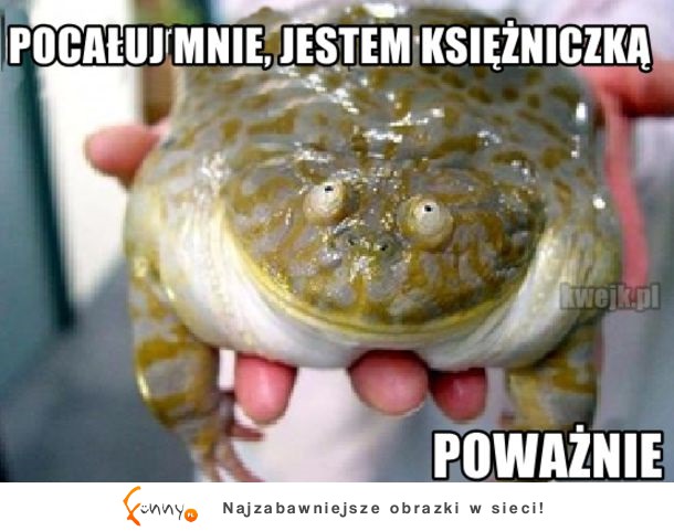 Piekna księżniczka