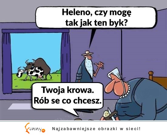 twoja krowa