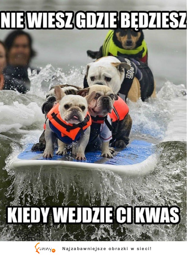 Kwas wszedł