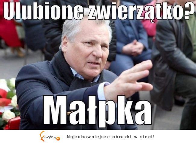 Ulubione zwierzę