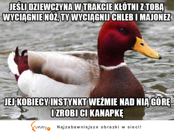 Kobiecy instynkt