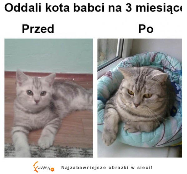 Spasł się XD