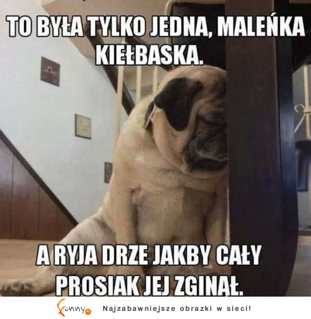 o co chodzi