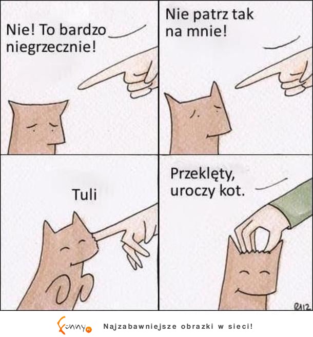 Koty takie są