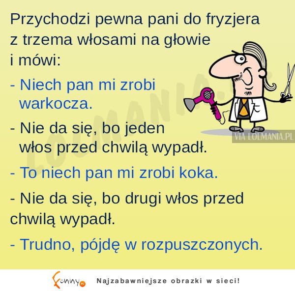 Przychodzi baba do fryzjera... MEGA KAWAŁ DNIA