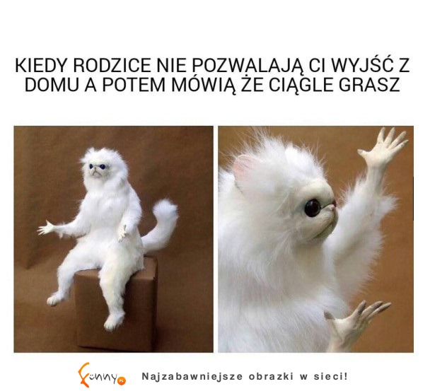 O o tu chodzi