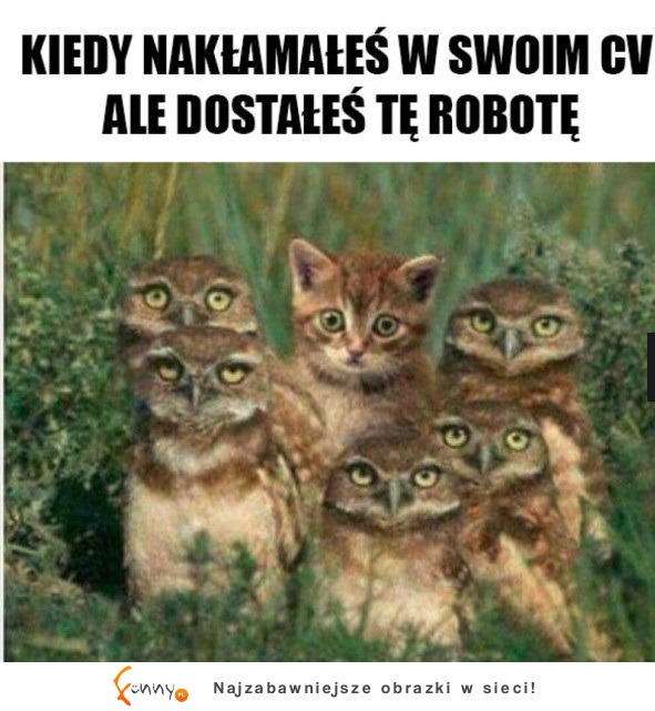 Nakłamałeś w CV