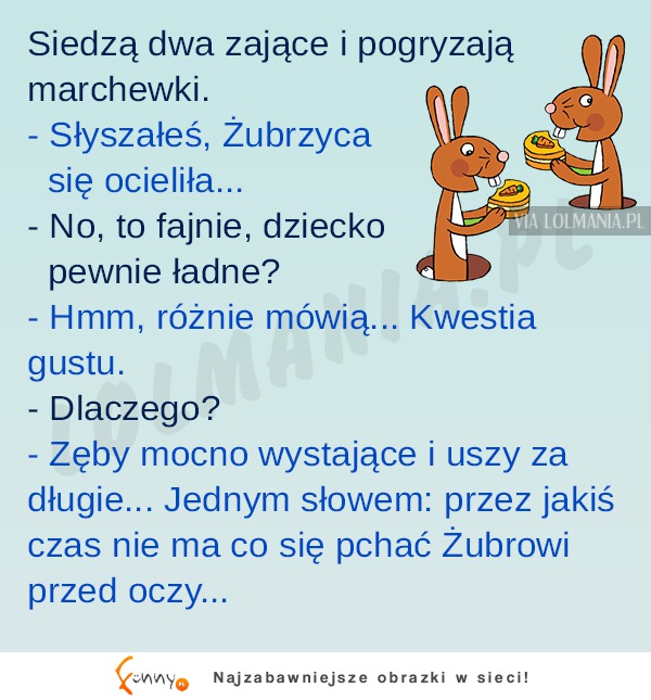 Zając chyba coś tu namieszał XD