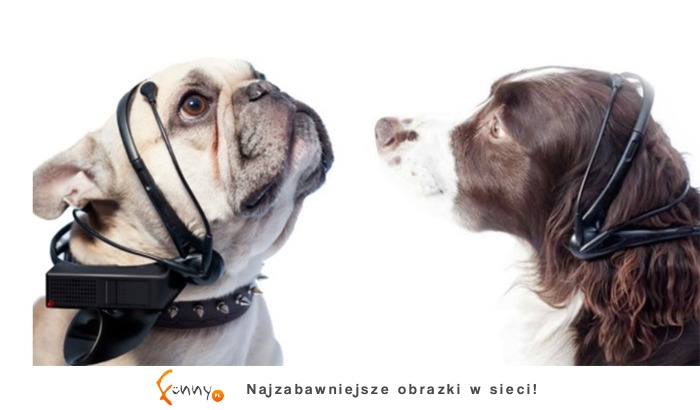 Rzeczy, które udowadniają, że przyszłość jest dziś! Rzeczy, które udowadniają, że przyszłość jest dziś!