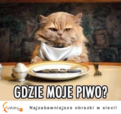 Gdzie moje piwo!