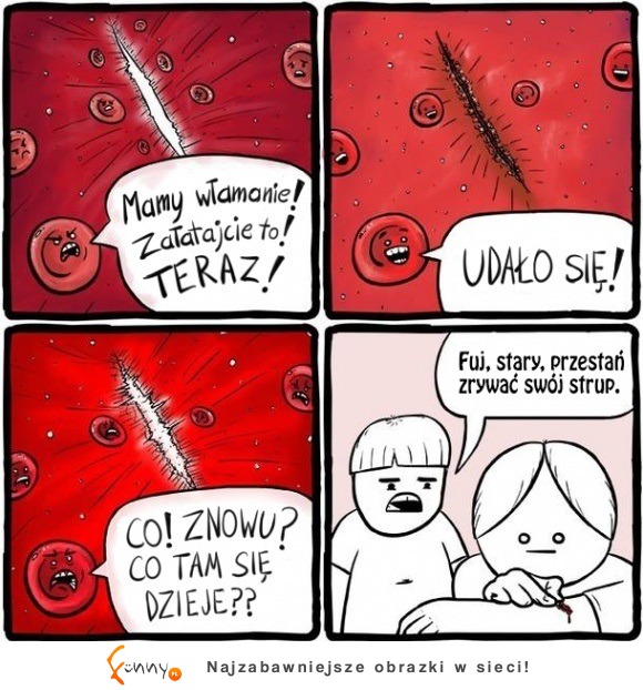 Mamy włamanie! haha zobacz co tam się stało!
