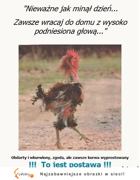 Nieważne jak minął dzięn...