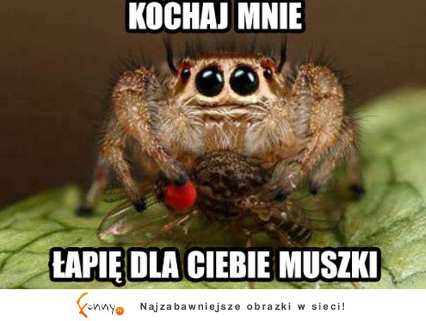 Kochaj mnie