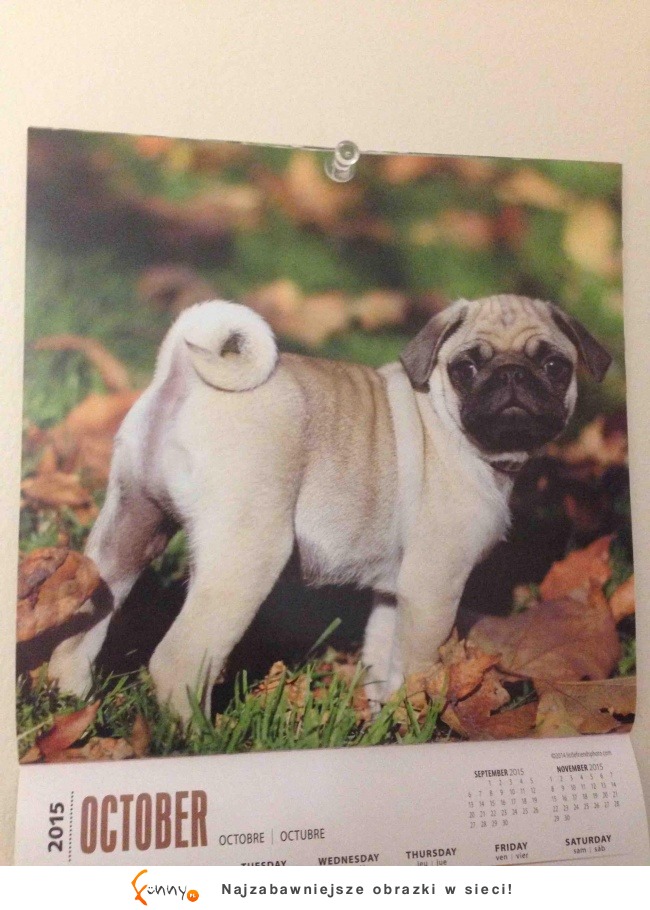 Jak nie używać Photoshopa Jak nie używać Photoshopa