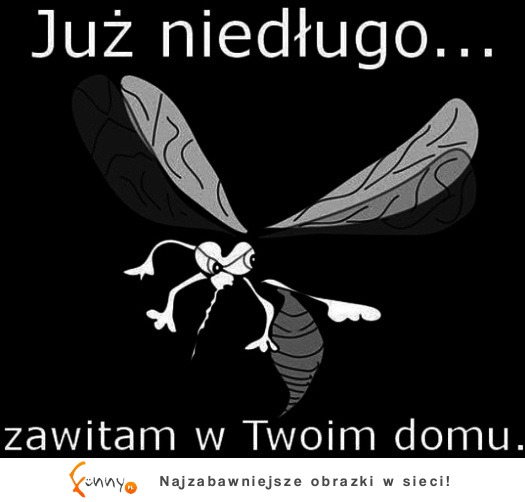 Już niedługo