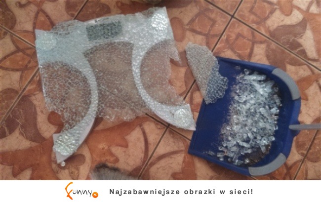 6 zabawnych zdjęć o diecie 6 zabawnych zdjęć o diecie
