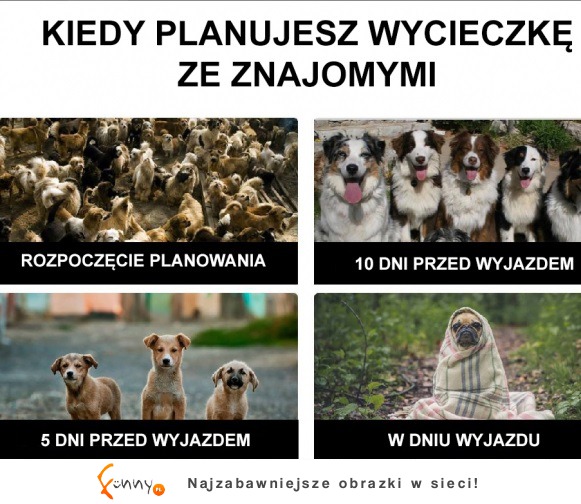 Tak jest zawsze